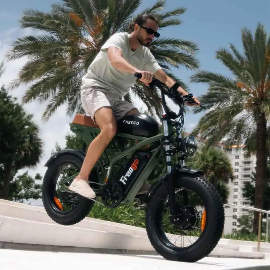Freego F3 Pro Electric Dirt Bike 2000W Dual Motor 40AH Dual Hydraulic Brake Suspension 20x4 Fat Tires Off Road Electric Bike