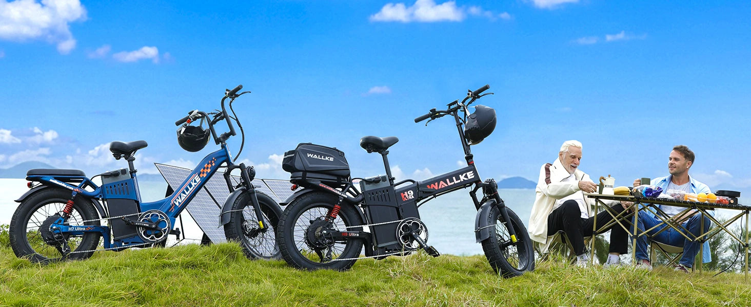 Wallke H9 ULTRA Portable Power Station Electric Bike 4000W 37MPH Fast Ebike for Adults 48V 55Ah Long Range E-Bike Torque Sensor