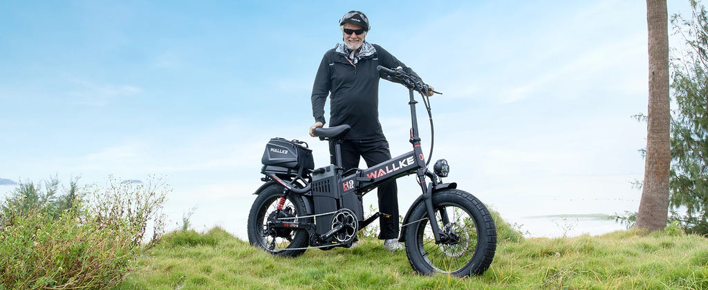 Wallke H9 ULTRA Portable Power Station Electric Bike 4000W 37MPH Fast Ebike for Adults 48V 55Ah Long Range E-Bike Torque Sensor
