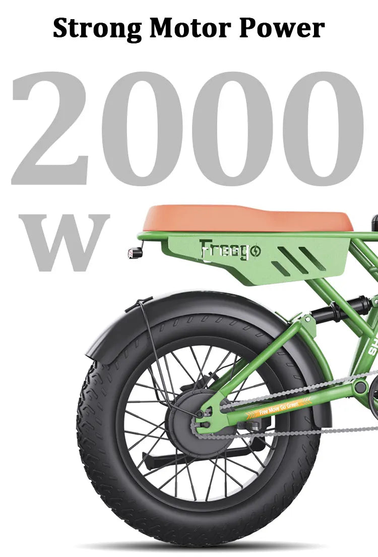 Freego F3 Pro Electric Dirt Bike 2000W Dual Motor 40AH Dual Hydraulic Brake Suspension 20x4 Fat Tires Off Road Electric Bike