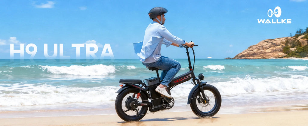 Wallke H9 ULTRA Portable Power Station Electric Bike 4000W 37MPH Fast Ebike for Adults 48V 55Ah Long Range E-Bike Torque Sensor