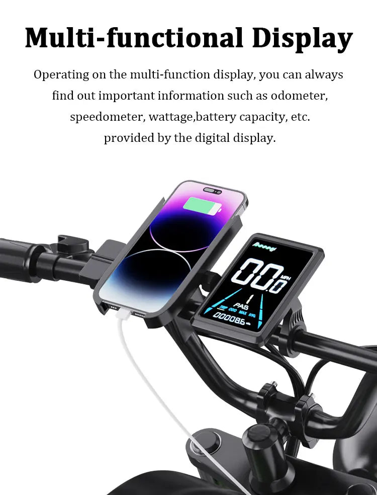 Freego F3 Pro Electric Dirt Bike 2000W Dual Motor 40AH Dual Hydraulic Brake Suspension 20x4 Fat Tires Off Road Electric Bike