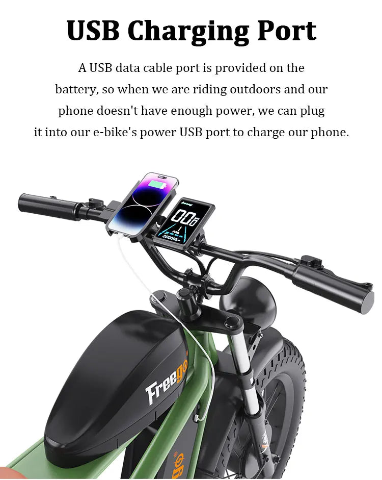 Freego F3 Pro Electric Dirt Bike 2000W Dual Motor 40AH Dual Hydraulic Brake Suspension 20x4 Fat Tires Off Road Electric Bike