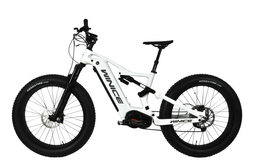 DENGFU  E-BIKE SNOW BIKE E56  Bafang Motor M620 Full Suspension Carbon Frame Bike