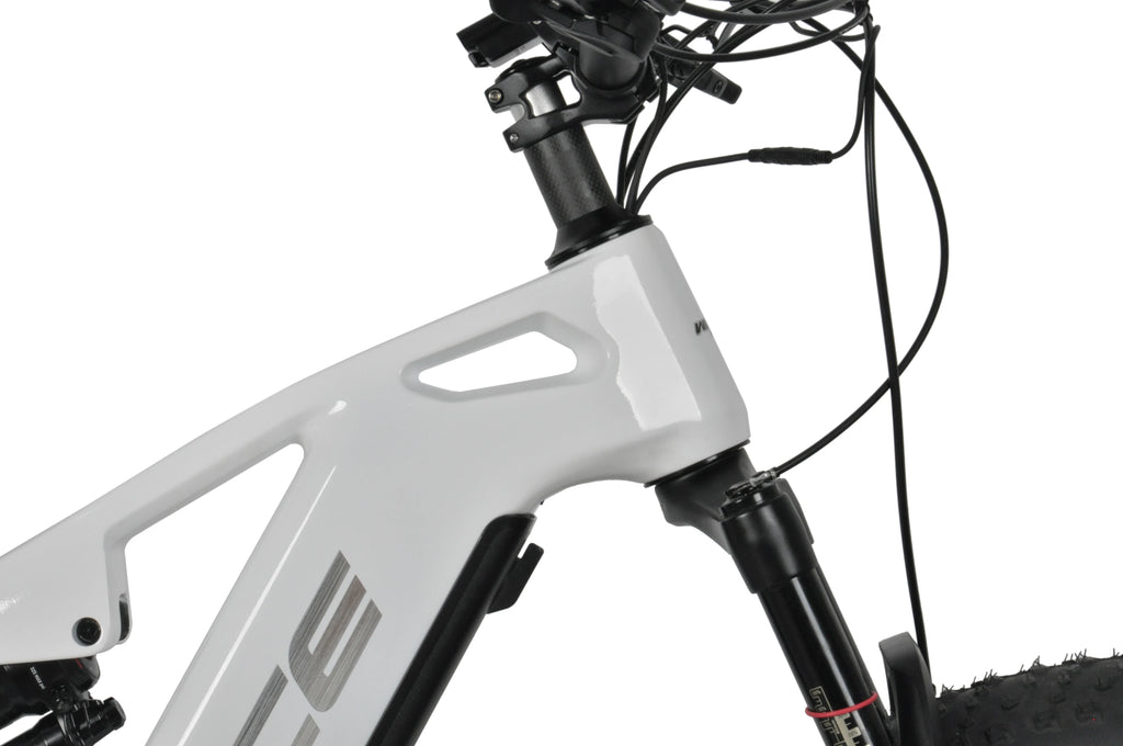 DENGFU  E-BIKE SNOW BIKE E56  Bafang Motor M620 Full Suspension Carbon Frame Bike