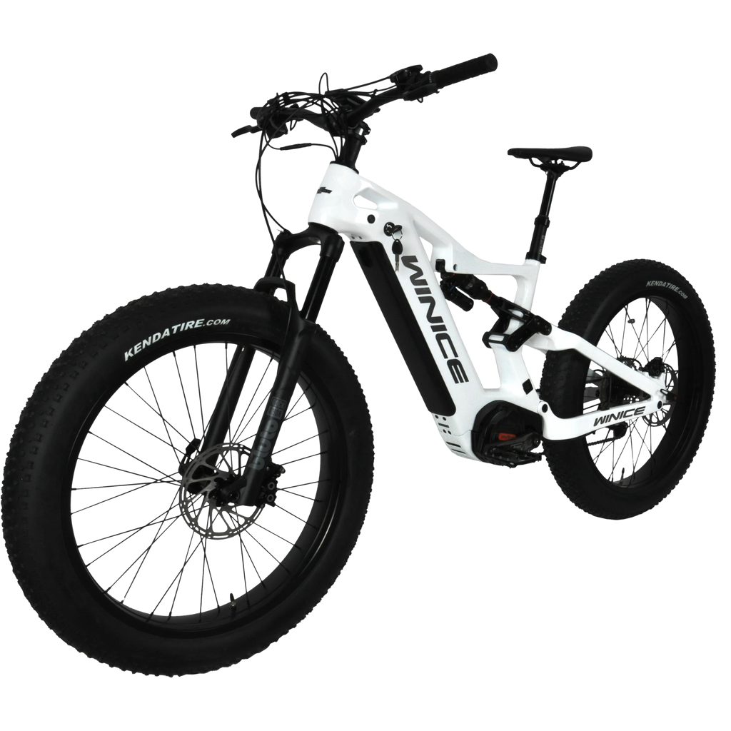 DENGFU  E-BIKE SNOW BIKE E56  Bafang Motor M620 Full Suspension Carbon Frame Bike