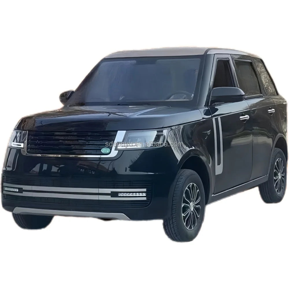 SUNYU SY-A2 Large Electric Vehicle City Buses and Adult Cars Auto Electrico Hot Sale New Energy Vehicles