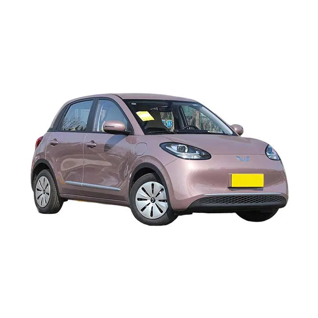 Wuling Mini Ev New Energy Vehicles Chinese Electric Mini Car Hot Selling 4-Seat Adult Automatic Gearbox FWD Euro VI Leather