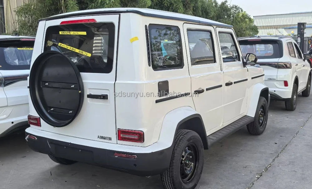 For Geely Panda Mini EV Cheap Small Electric Auto New Energy Vehicle From China Used Cars
