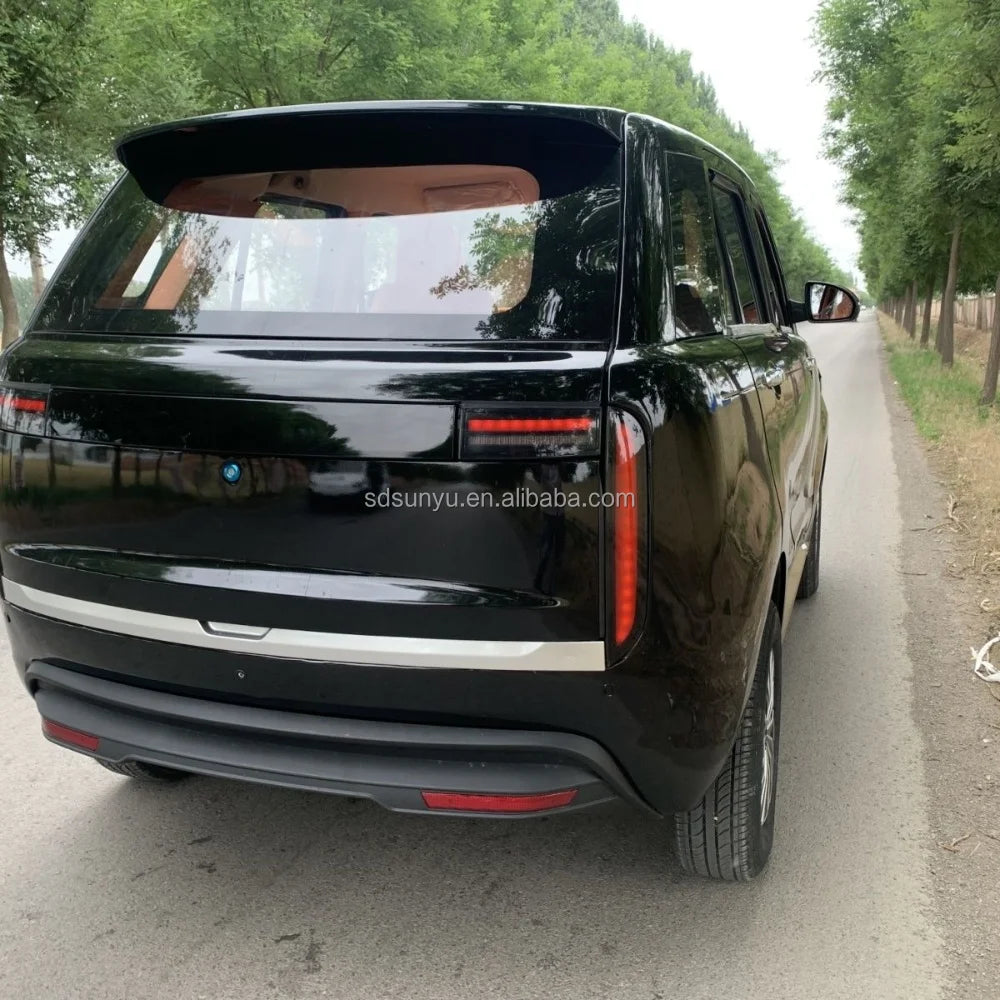 SUNYU SY-A2 Large Electric Vehicle City Buses and Adult Cars Auto Electrico Hot Sale New Energy Vehicles