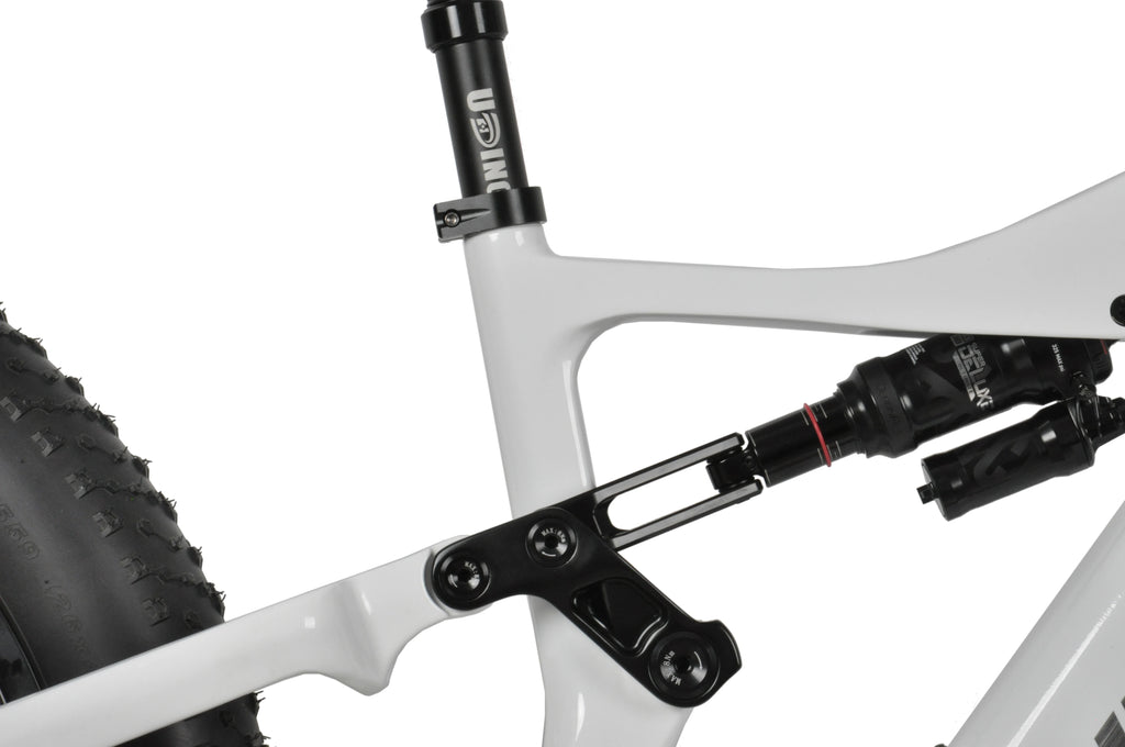 DENGFU  E-BIKE SNOW BIKE E56  Bafang Motor M620 Full Suspension Carbon Frame Bike