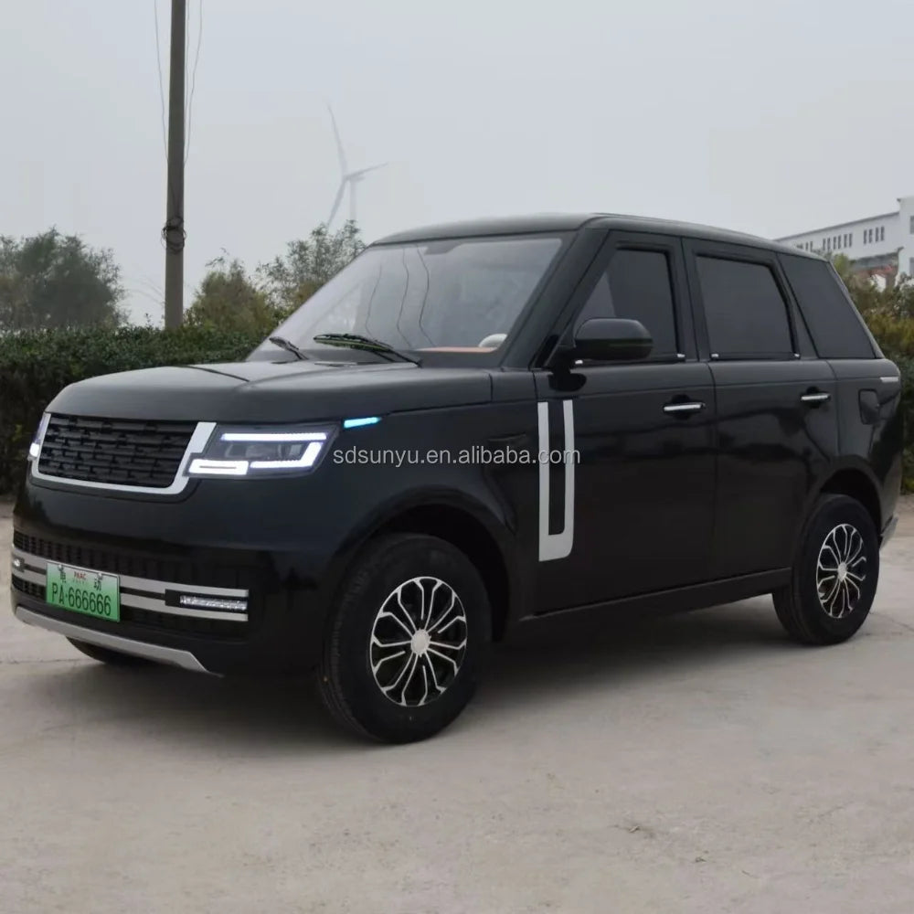SUNYU SY-A2 Large Electric Vehicle City Buses and Adult Cars Auto Electrico Hot Sale New Energy Vehicles