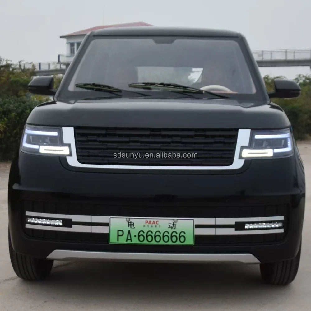 SUNYU SY-A2 Large Electric Vehicle City Buses and Adult Cars Auto Electrico Hot Sale New Energy Vehicles