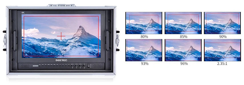 Seetec P173-9HSD-CO 17.3 Inch IPS 3G-SDI HDMI Broadcast Monitor with AV YPbPr Carry-on LCD Director Monitor with Suitcase