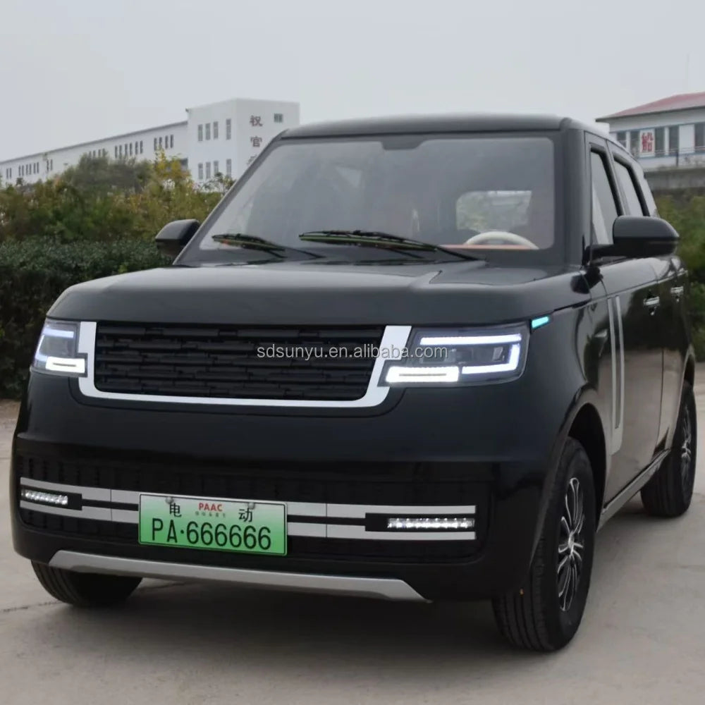 SUNYU SY-A2 Large Electric Vehicle City Buses and Adult Cars Auto Electrico Hot Sale New Energy Vehicles