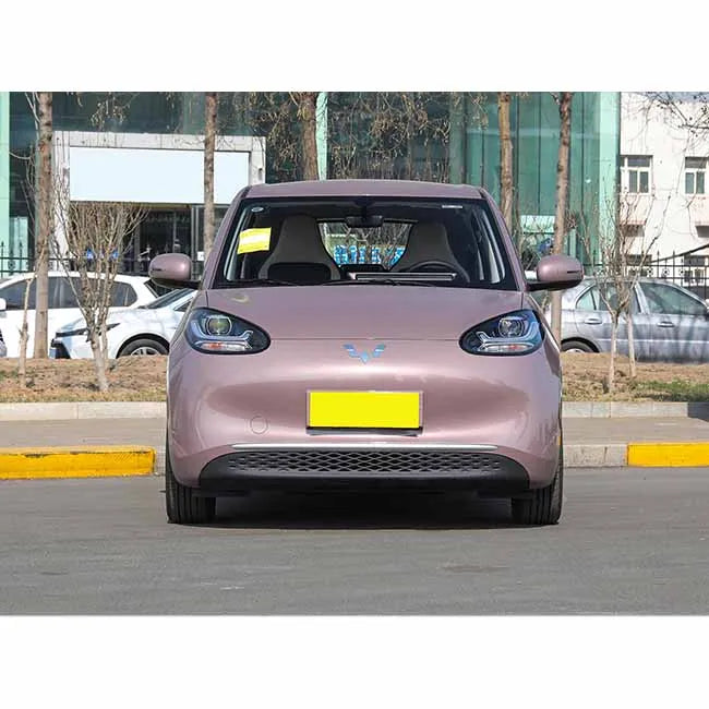 Wuling Mini Ev New Energy Vehicles Chinese Electric Mini Car Hot Selling 4-Seat Adult Automatic Gearbox FWD Euro VI Leather