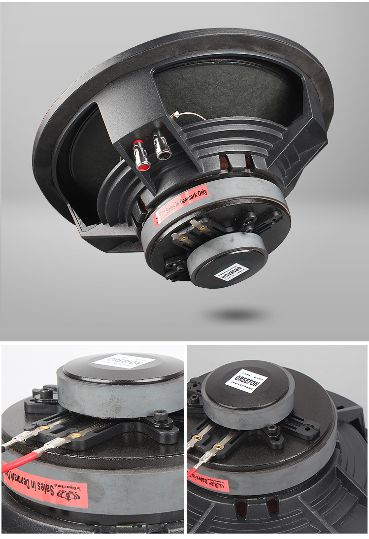 GL-002 Princess 12 Inch Coaxial Audiophile HiFi Loudspeaker Passive Fever Speaker 6-8ohm/300W