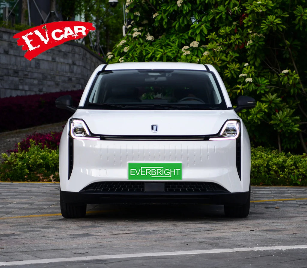 2024 New Hot-seliing Besturn EO5/NAT Electric Car/SUV with Very Unique Shape, Large Space and Affordable Price