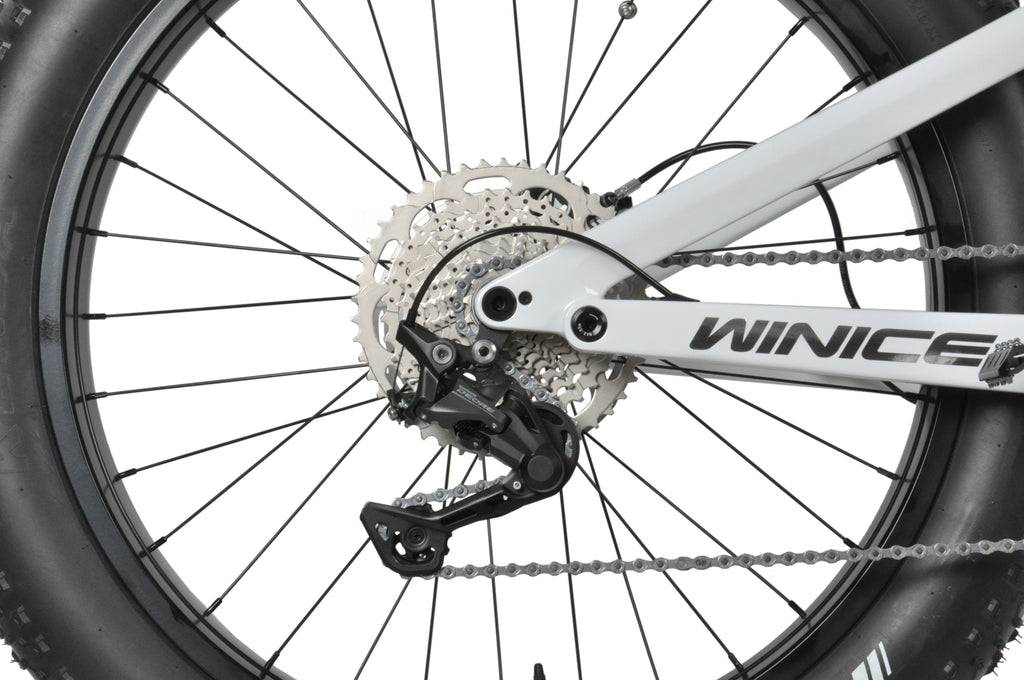 DENGFU  E-BIKE SNOW BIKE E56  Bafang Motor M620 Full Suspension Carbon Frame Bike