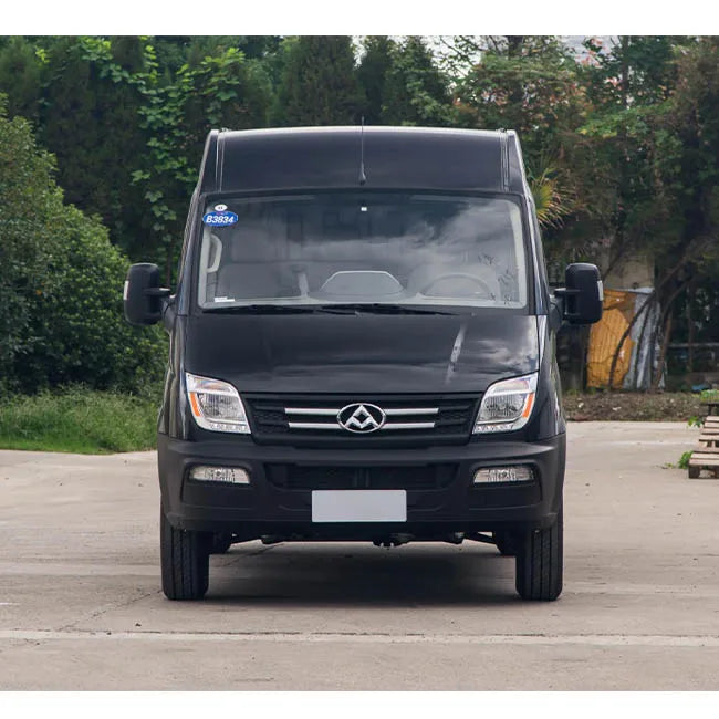 Best Selling Ev Van Ev80 Adult Hot Sale Moderate Price New Energy Vehicle Pure Electric Car