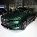 Used Hybrid 2024 860Km Electric Cars Long Range 200Km/H 5 Seat Suv 2023 High Speed 4Wd and 2Wd Rhd Voyah Free