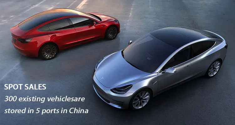 2025 New Arrive Electric Cars Made in China Model Y Model 3 High Speed Sedan New Energy Vehicles Ev Car