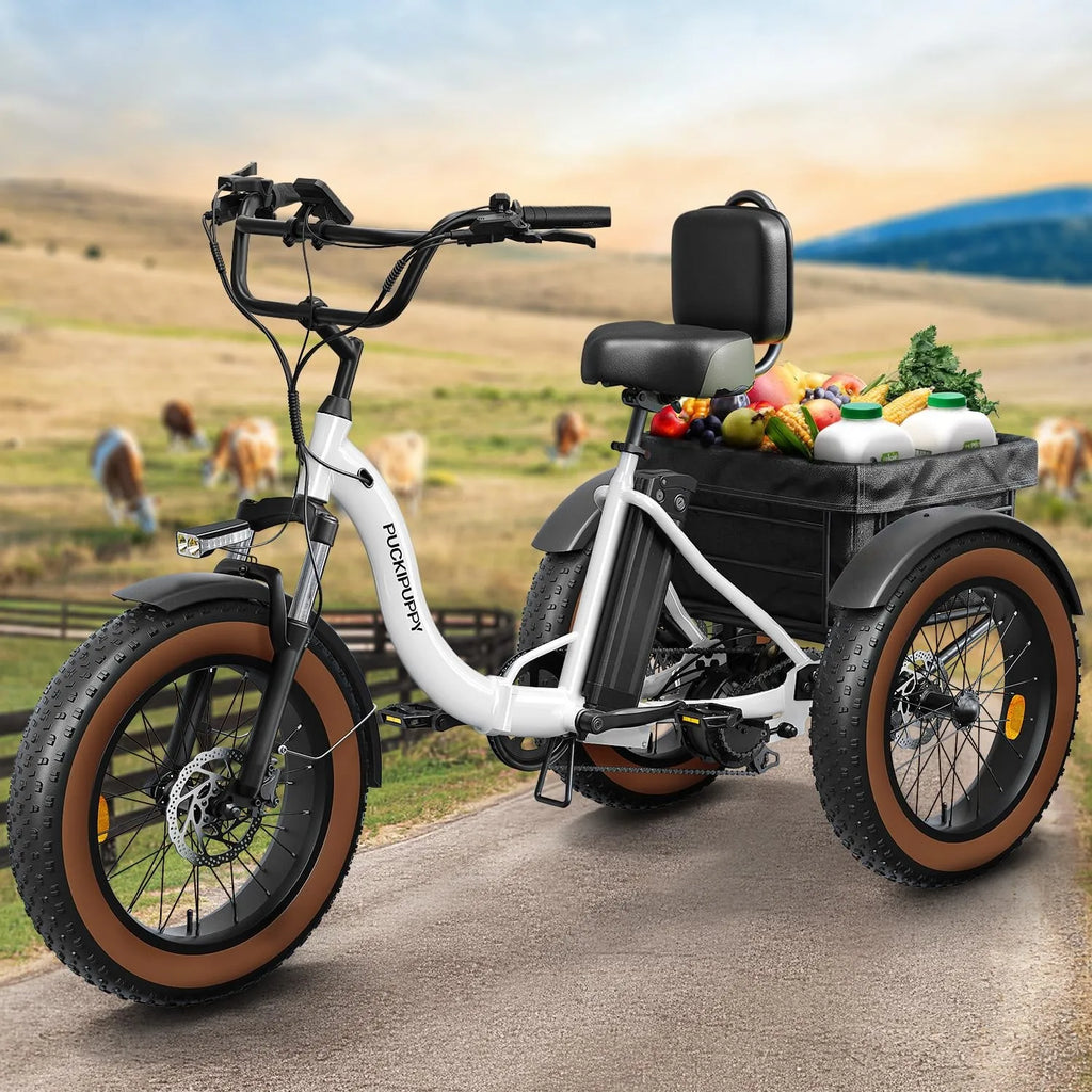 Electric Tricycle for Adults Fat Tire 3 Wheel Electric Trike 960W 55Miles E-Bike