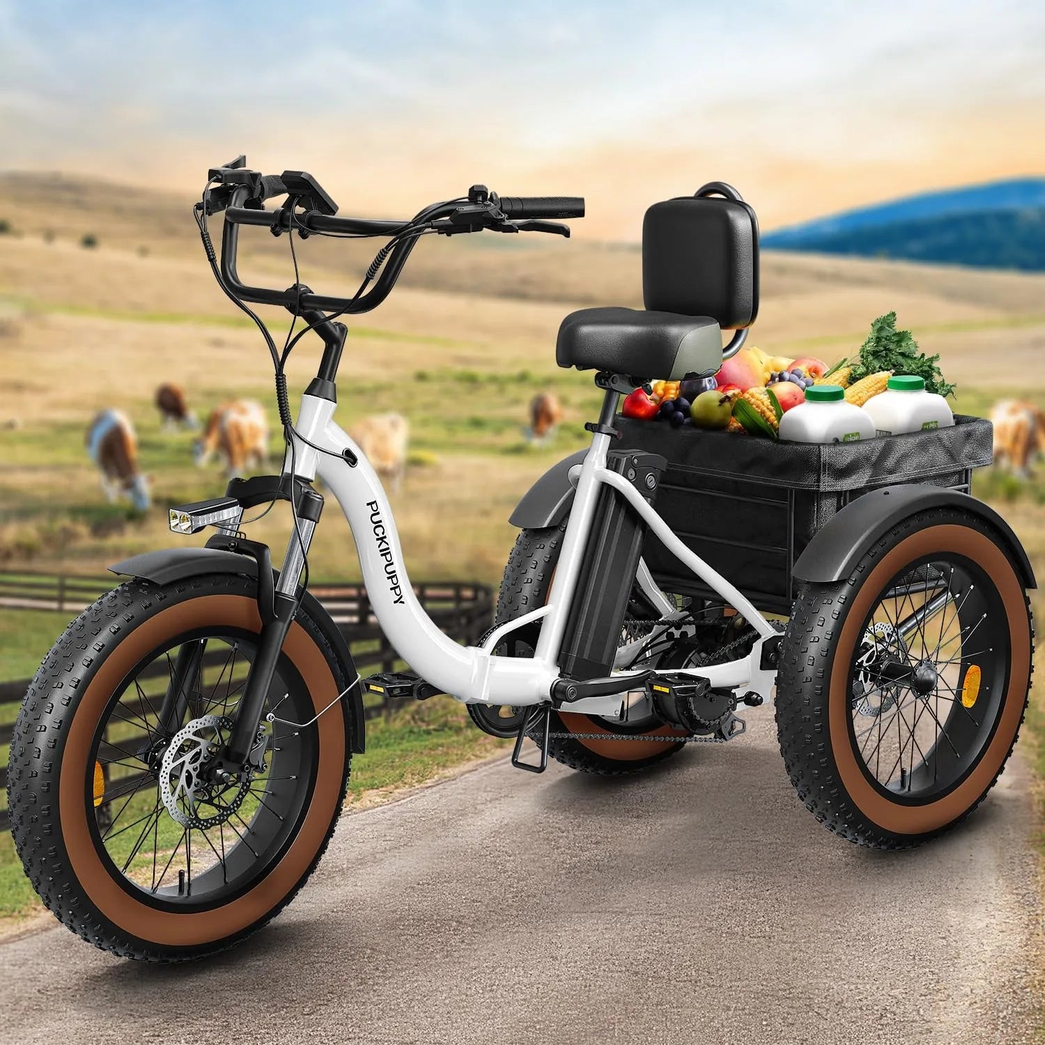 Electric Tricycle for Adults Fat Tire 3 Wheel Electric Trike 960W 55Miles E-Bike