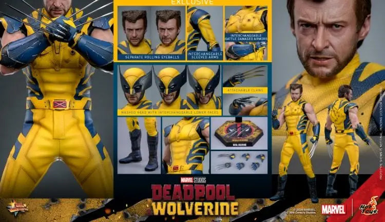 Hottoys Wolverine 1/6 Scale Action Figure MMS754 Deluxe Edition Deadpool And Wolverine Marvel Movie Collectible For Adult Fans