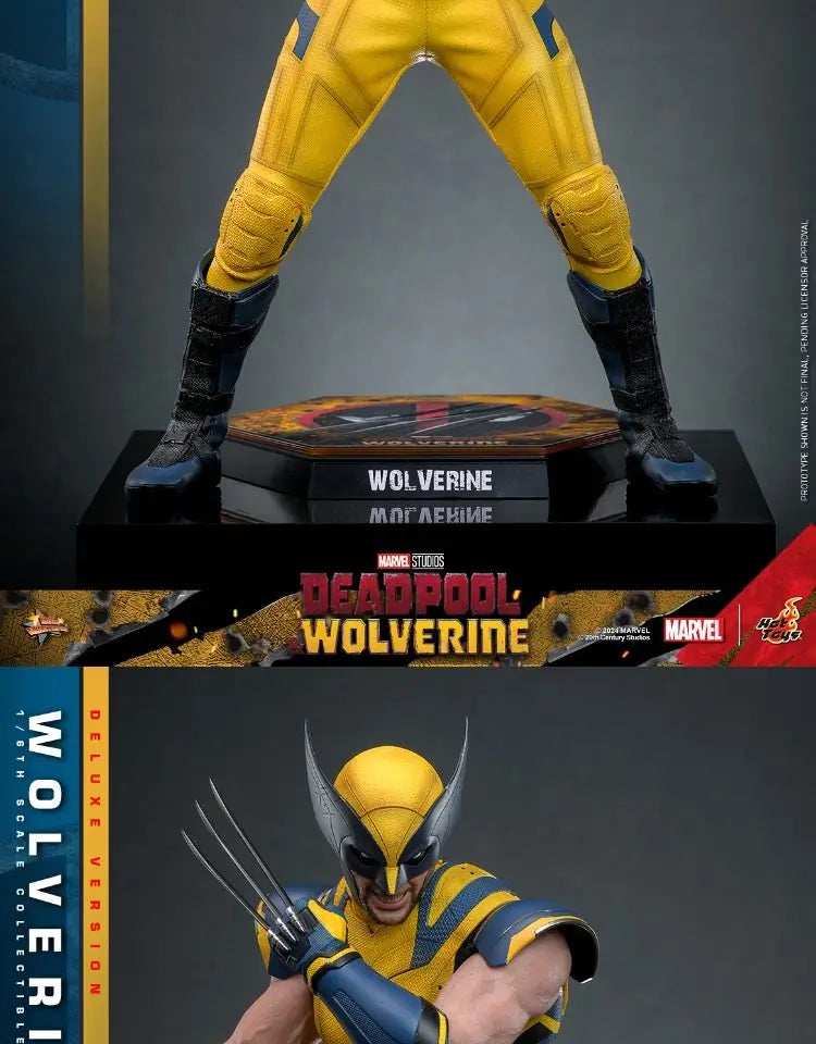 Hottoys Wolverine 1/6 Scale Action Figure MMS754 Deluxe Edition Deadpool And Wolverine Marvel Movie Collectible For Adult Fans