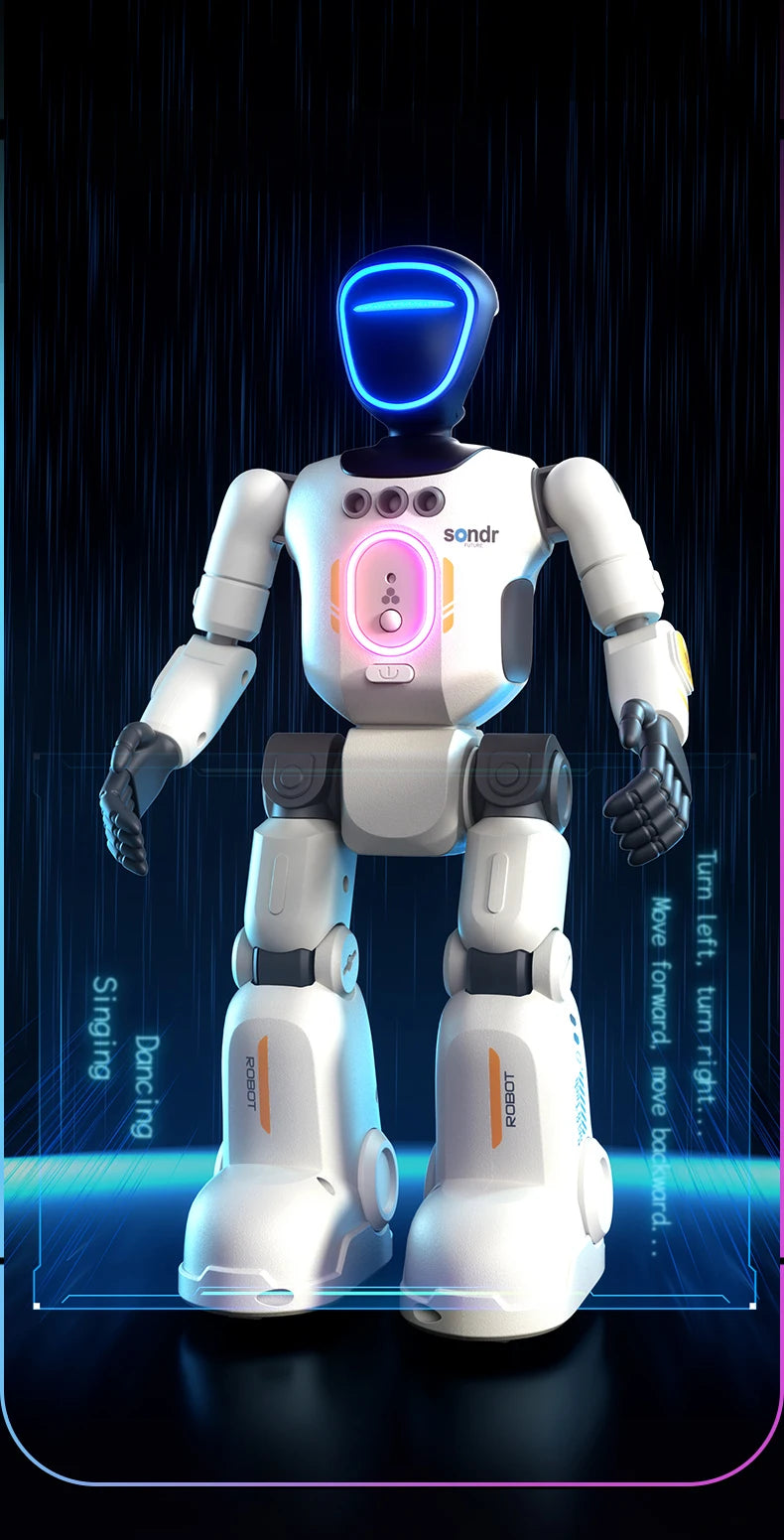 Smart Programming Humanoid Gesture Sensing Remote Control Robot 2.4G Joint Mobility Breathing Light Recording Function RC Robot