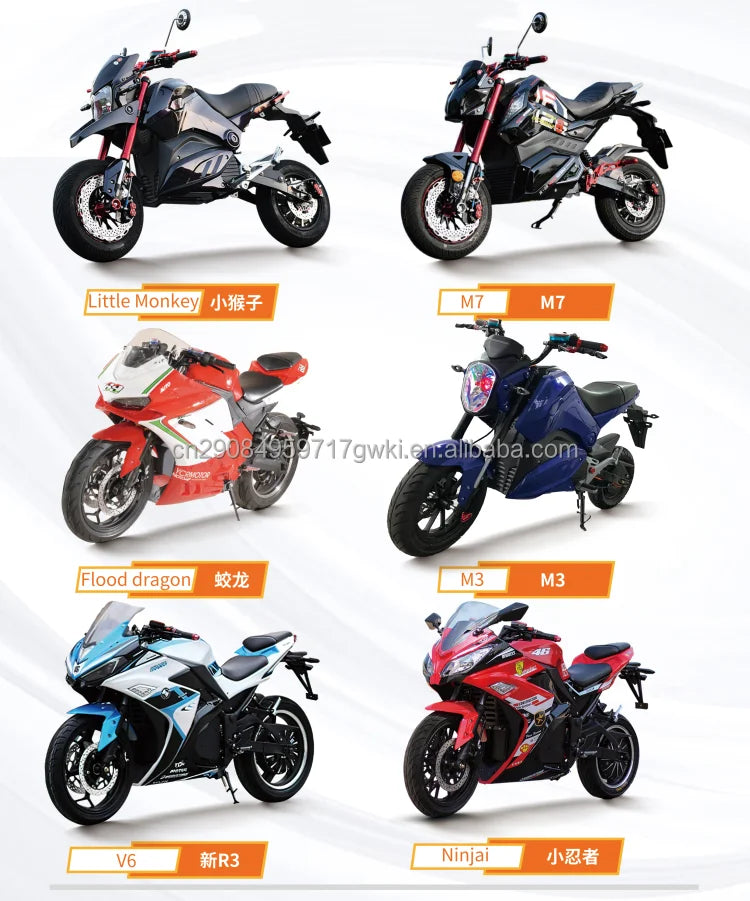 Custom 2000W 2 Seaters Electric Motorcycle Chopper Street Mopeds Motor Bike 60V 12-45Ah Long Range