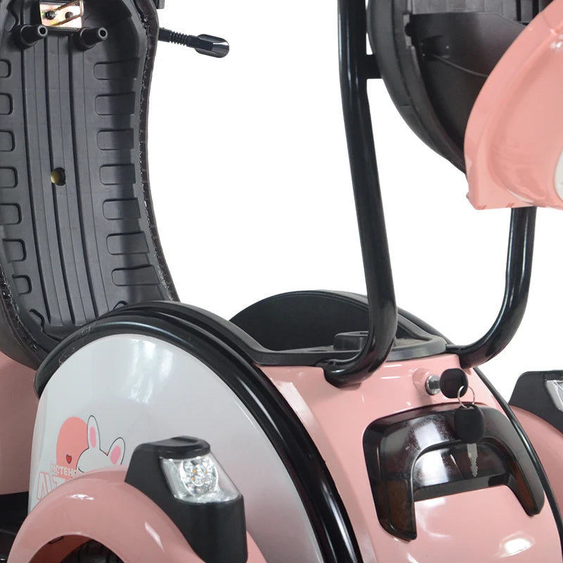 China Hot Selling 3 Wheel Scooter Adult Electric Motorcycle for Sale 3 Wheel Solar Tricycle With Roof