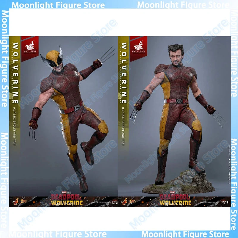 In Stock HotToys MMS831 Wolverine Classic Brown and Tan 1/6 Soldier Figure Animation Action Figure Toy Gift Model Collection