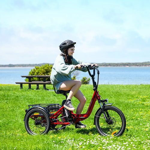 -310 Folding 3Wheel E-bike Electric Trike 750W 20Ah 90MI Adult