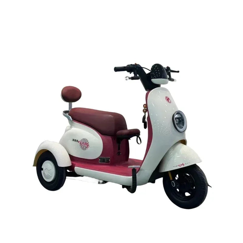 Electric City Bicycle 48V Electric Scooter Two wheeled Electric Motorcycle