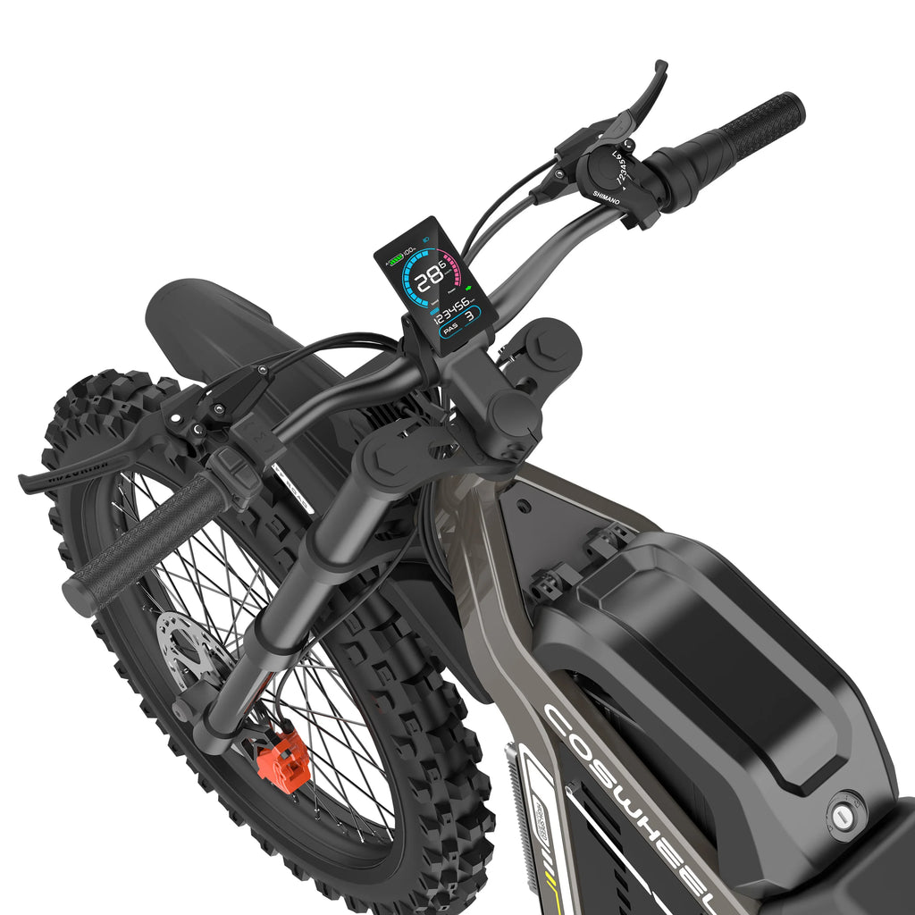 Coswheel R19 adult E-bike 3000W Motor 72V 40Ah battery commute Electric Bike,19-inch Tire E-Mountain bike