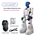 Smart Programming Humanoid Gesture Sensing Remote Control Robot 2.4G Joint Mobility Breathing Light Recording Function RC Robot