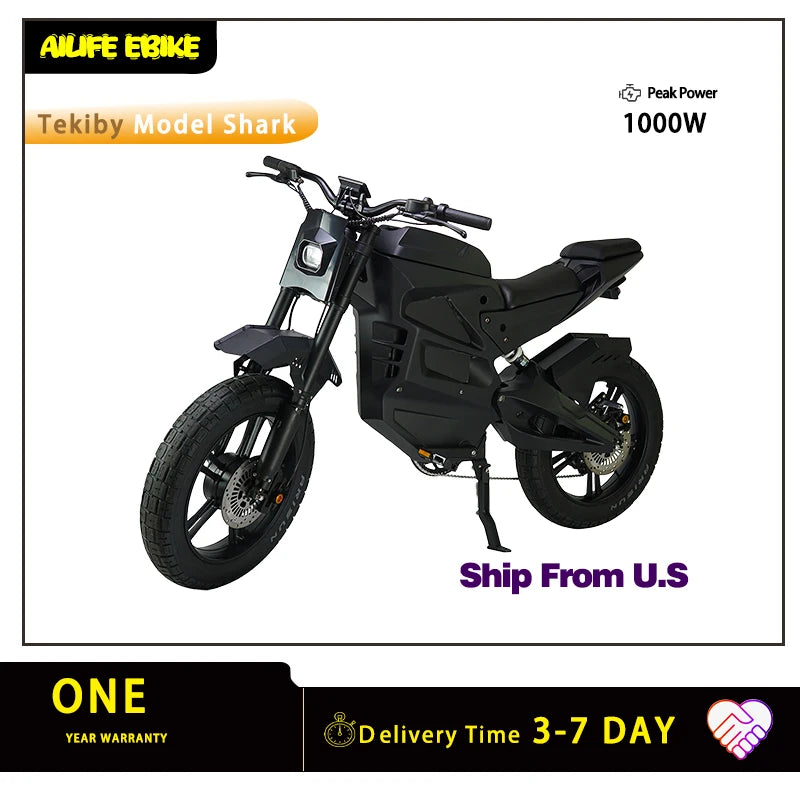 Tekiby Model SHARK/  Classic Fashion Electric Motorcycle