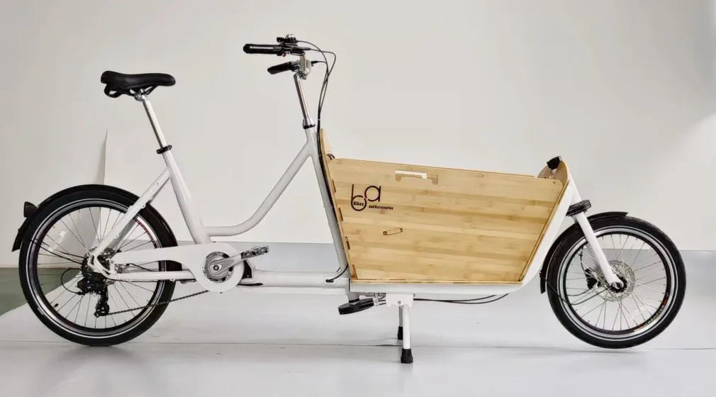 20'' Big Volume Two Wheels Pets Kids Carrier Goods Electric Bicycle Long Family Cargo Ebike Cargo Bike Electric