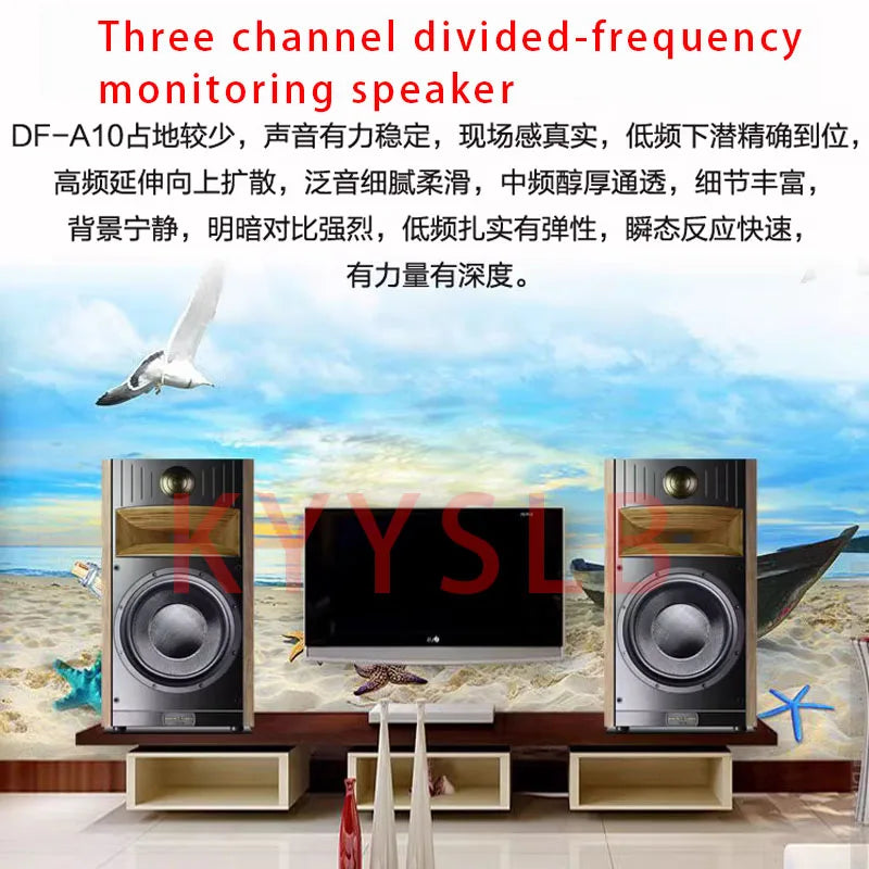 DF-A10 180W 10 Inch Fever Passive Bookshelf HiFi Speaker Two-Way Professional Audio Monitor Speakers High Power Speaker