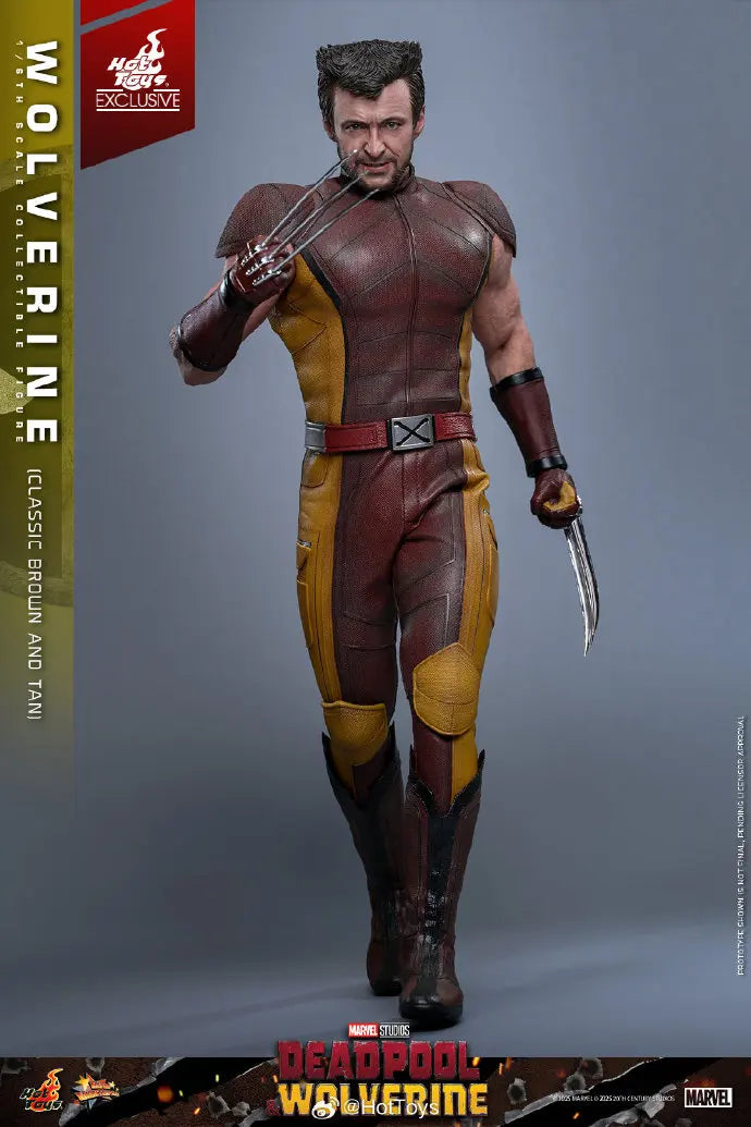 In Stock HotToys MMS831 Wolverine Classic Brown and Tan 1/6 Soldier Figure Animation Action Figure Toy Gift Model Collection