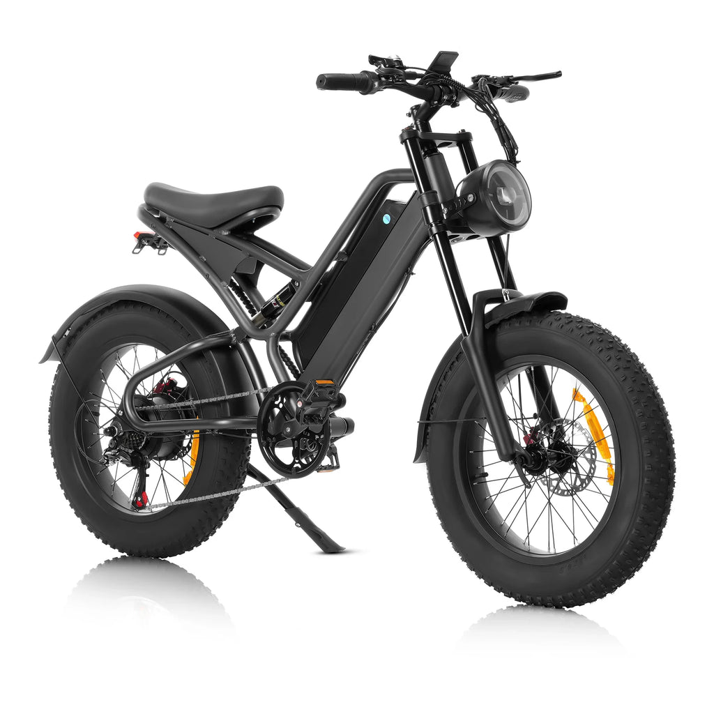 Mountain Bike Electric 48V Fat Tire E-bike Lithium Battery Hybrid