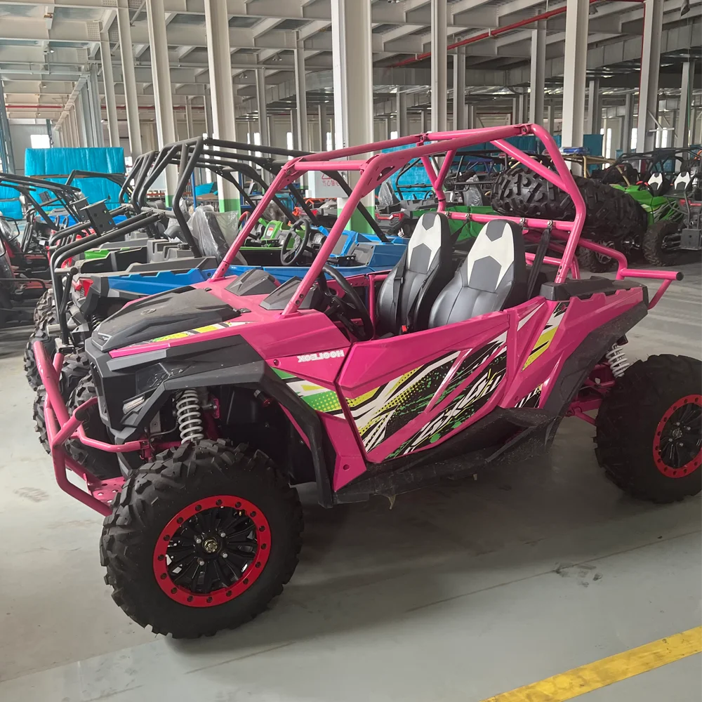 Hot Sale Gas UTV 4X4 with Automatic Transmission 2 Seats Directly From China 500cc 800cc 1000cc SSV/UTV