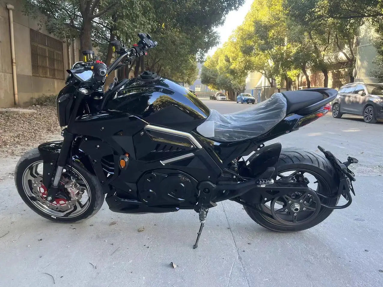 New Racing Electric High Speed Motorcycle adult 3000W 5000W 8000W Mid-drive motor  electric motorcycle