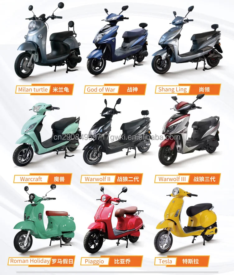 Custom 2000W 2 Seaters Electric Motorcycle Chopper Street Mopeds Motor Bike 60V 12-45Ah Long Range