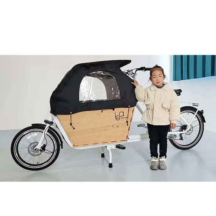 20'' Big Volume Two Wheels Pets Kids Carrier Goods Electric Bicycle Long Family Cargo Ebike Cargo Bike Electric