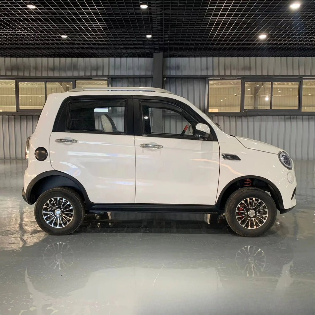 Electric four-wheeled elderly car Fully enclosed car Dual fuel scooter 3kW motor Comfortable sightseeing car