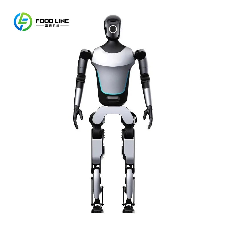 Customized Delivery Commercial Robot For Adults 172cm Smart AI Education Humanoid Robot