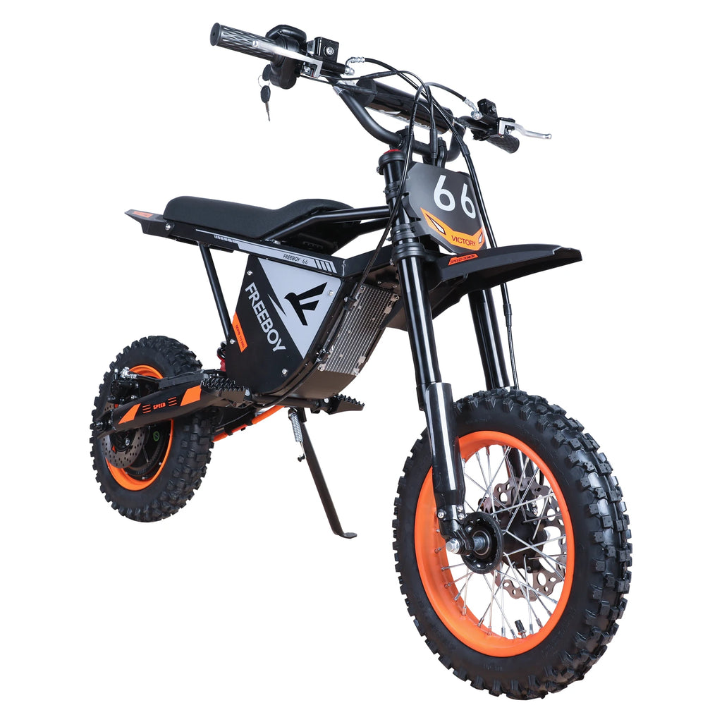 FREEBOY Y66 E-bike 3000W Motor 48V30AH Battery Electric Bike Max Speed: 55KM/H 12/10-In All-terrain Fat Tires Electric Bicycle